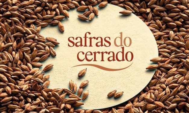 Safras do Cerrado celebra empreendorismo gastronômico do DF